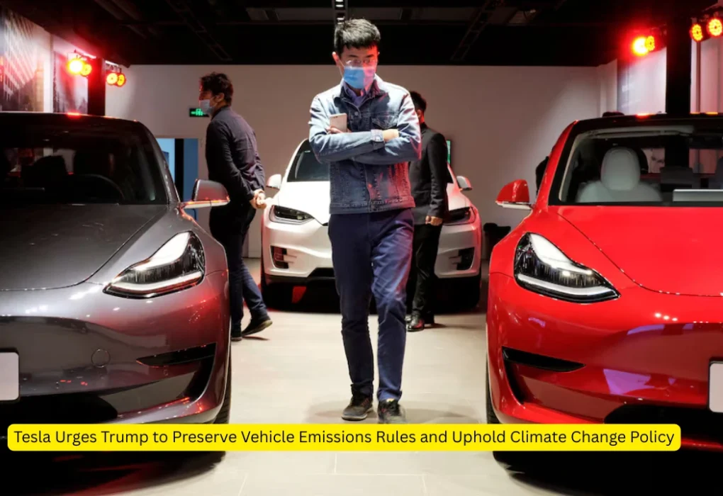 Vehicle Emissions Rules