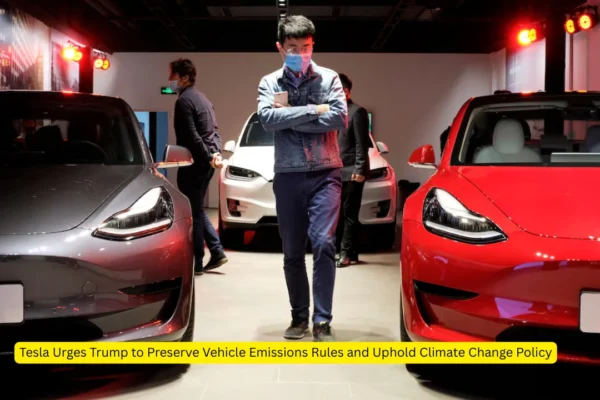 Vehicle Emissions Rules