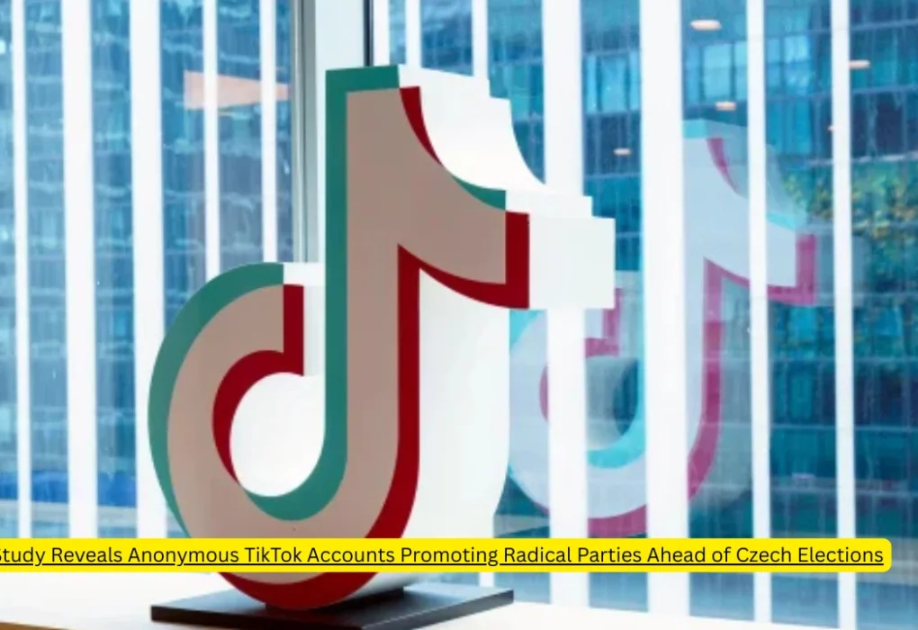 TikTok Accounts